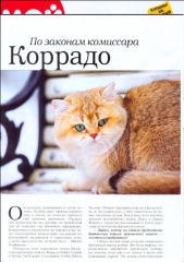 1-zolotoy-korrado-of-golden-neko-moj-drug-koshka-2013-2